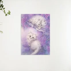Schilderen op nummer – Schattige Katten – SEOS Shop ®
