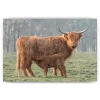 Schilderen op nummer Schotse hooglander – Bruine Schotse hooglander met haar jong – SEOS Shop ®