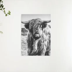 Schilderen op nummer Schotse hooglander – Harige Schotse hooglander in zwart-wit – SEOS Shop ®