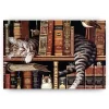 Schilderen op nummer – Slapende poes in bibliotheek – SEOS Shop ®