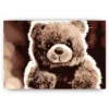 Schilderen op nummer – Teddy – SEOS Shop ®