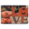 Schilderen op nummer – Teddybeer – SEOS Shop ®