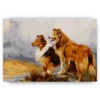 Schilderen op nummer – Twee Prachtige Honden – SEOS Shop ®