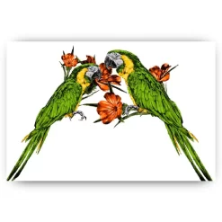 Schilderen op nummer – Twee papegaaien op de tak – SEOS Shop ®