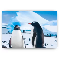 Schilderen op nummer – Twee rustende pinguïns – SEOS Shop ®