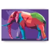 Schilderen op nummer – Vectorolifant – SEOS Shop ®