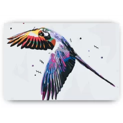 Schilderen op nummer – Vliegende papegaai – SEOS Shop ®
