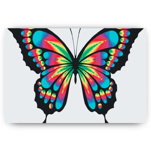 Schilderen op nummer – Vlinder in kleuren – SEOS Shop ®