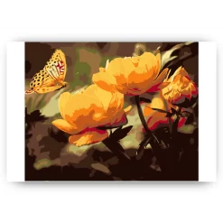 Schilderen op nummer – Vlinder met bloemen – SEOS Shop ®