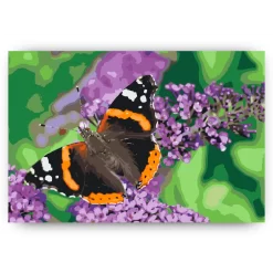 Schilderen op nummer – Vlinder op een paarse bloem – SEOS Shop ®
