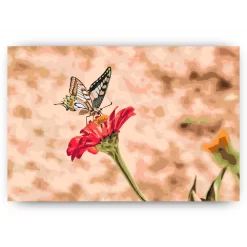 Schilderen op nummer – Vlinder op rode bloem 2 – SEOS Shop ®