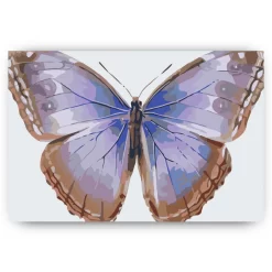 Schilderen op nummer – Vlindervleugels – SEOS Shop ®