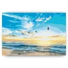 Schilderen op nummer – Vogels die over de zee vliegen – SEOS Shop ®