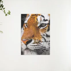 Schilderen op nummer – Volwassen tijger – SEOS Shop ®
