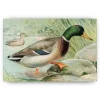 Schilderen op nummer – Wilde Eend – SEOS Shop ®
