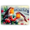 Schilderen op nummer – Winter Vogels – SEOS Shop ®