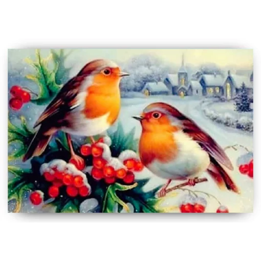Schilderen op nummer – Winter Vogels – SEOS Shop ®