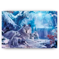 Schilderen op nummer – Winter Wolf – SEOS Shop ®