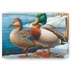 Schilderen op nummer – Winterbezoekers – SEOS Shop ®