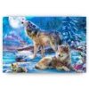 Schilderen op nummer – Winterwolf en gehuil – SEOS Shop ®