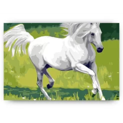 Schilderen op nummer – Wit Paard – SEOS Shop ®