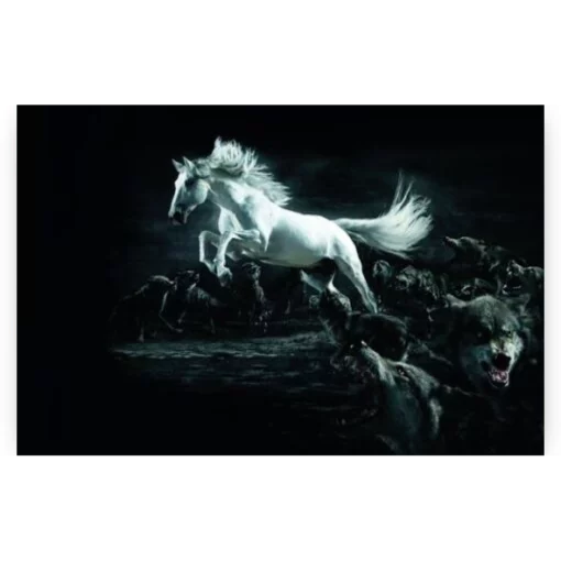 Schilderen op nummer – Wit paard en wolven – SEOS Shop ®