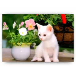 Schilderen op nummer – Witte Kat met Bloemen in Vaas – SEOS Shop ®