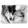 Schilderen op nummer – Witte Wolven Paar – SEOS Shop ®