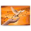 Schilderen op nummer – Witte duif – SEOS Shop ®