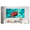 Schilderen op nummer – Zeeschildpad (Set van 3) – SEOS Shop ®