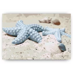 Schilderen op nummer – Zeesterren in het zand – SEOS Shop ®
