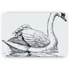 Schilderen op nummer – Zwaan in het meer – SEOS®