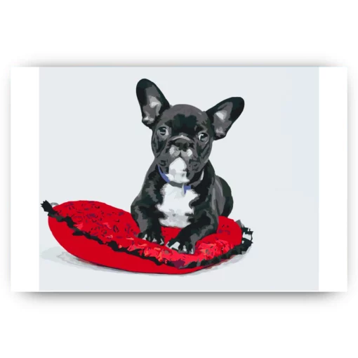 Schilderen op nummer – Zwarte bulldog op een kussen – SEOS Shop ®