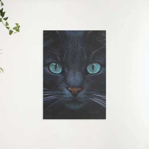 Schilderen op nummer – Zwarte kat en blauwe ogen – SEOS Shop ®