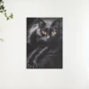 Schilderen op nummer – Zwarte kat en gele ogen – SEOS Shop ®