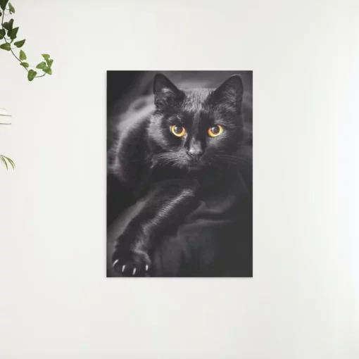 Schilderen op nummer – Zwarte kat en gele ogen – SEOS Shop ®