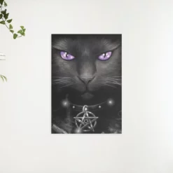 Schilderen op nummer – Zwarte kat en paarse ogen – SEOS Shop ®