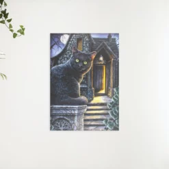 Schilderen op nummer – Zwarte kat met groene ogen – SEOS Shop ®