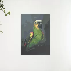 Schilderen op nummer – Amazone papegaai – SEOS Shop ®