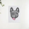 Schilderen op nummer – Bulldog met uitgestoken tong – SEOS Shop ®