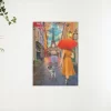 Schilderen op nummer – De straten van Parijs – SEOS Shop ®