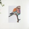 Schilderen op nummer – Een vogel op een tak – SEOS Shop ®