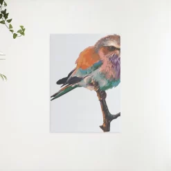 Schilderen op nummer – Een vogel op een tak – SEOS Shop ®