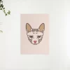 Schilderen op nummer – Kattenkop – SEOS Shop ®