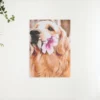 Schilderen op nummer – Labrador met bloem – SEOS Shop ®