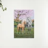 Schilderen op nummer – Lente’s geschenk – SEOS Shop ®