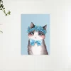 Schilderen op nummer – Lieve Kitty – SEOS Shop ®