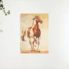 Schilderen op nummer – Machtig paard – SEOS Shop ®