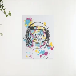 Schilderen op nummer – NASA kat – SEOS Shop ®