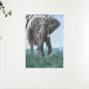Schilderen op nummer – Olifant in de natuur – SEOS Shop ®